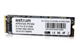 M.2 1TB PCI-E 3.0 SSD MODEL P100T